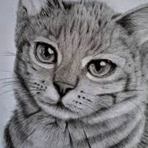 Profile Photo Of Al Amin Suraj