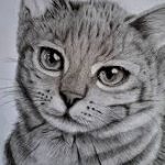 Profile Photo Of Al Amin Suraj